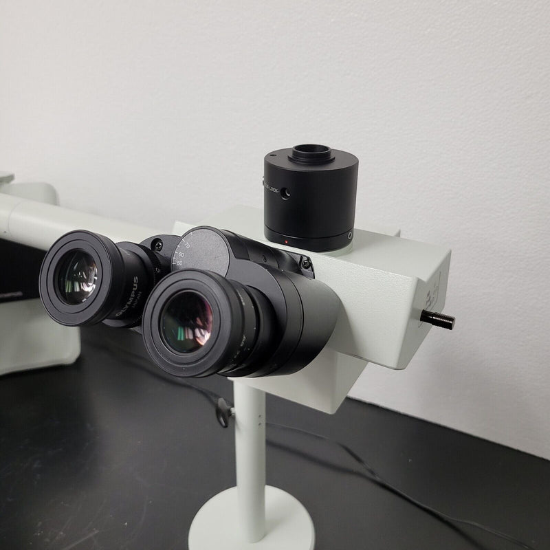 Olympus Microscope BX43 w/ Fluorites, Trinocular Head, & Dual Bridge Pathology - microscopemarketplace