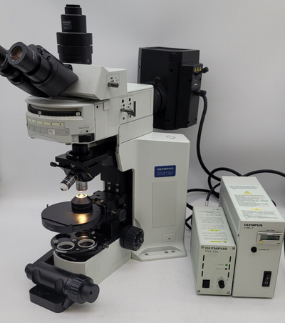 Olympus Microscope BX51 WI for electrophysiology and water immersion - microscopemarketplace