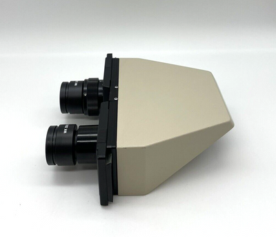 Olympus Microscope Fixed Binocular Head for BH2 - microscopemarketplace