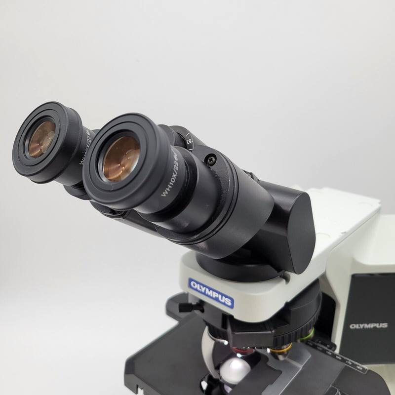 Olympus Microscope BX53 LED with Apo 2x, Fluorites, & Tilting Binocular Head - microscopemarketplace