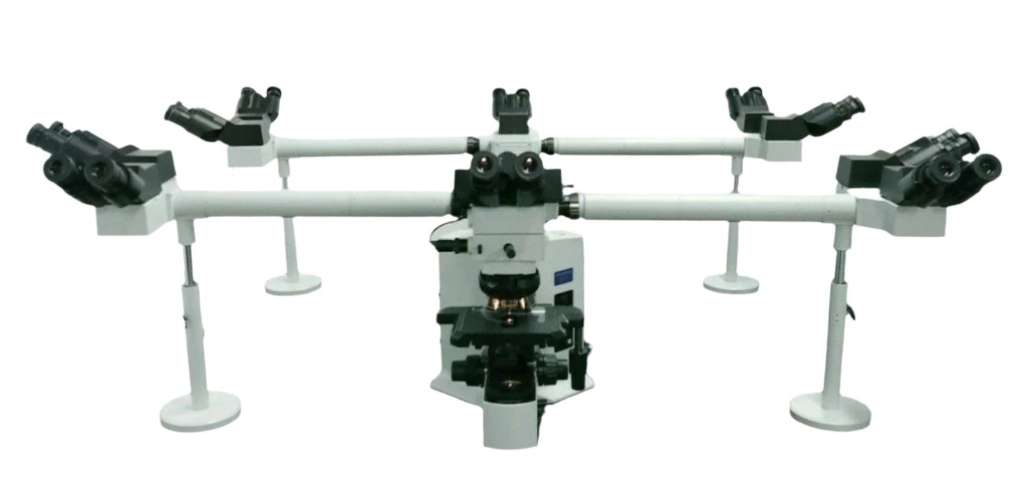 Certified Olympus Microscope BX51 Multihead 10 Head | Pathology