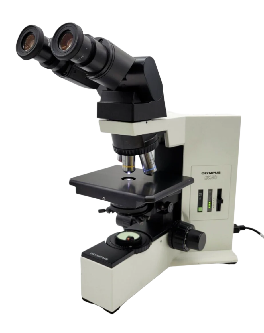 Olympus Microscope BX40 with Fixed Stage, Tilting Head, & 4x 10x 40x ...