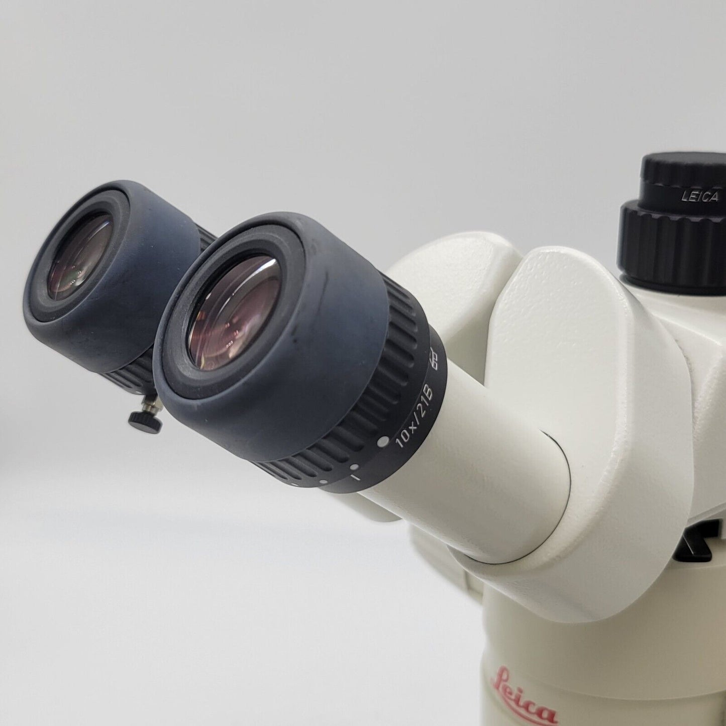 Leica Stereo Microscope MZ12 with Transmitted & Reflected Light Stand - microscopemarketplace