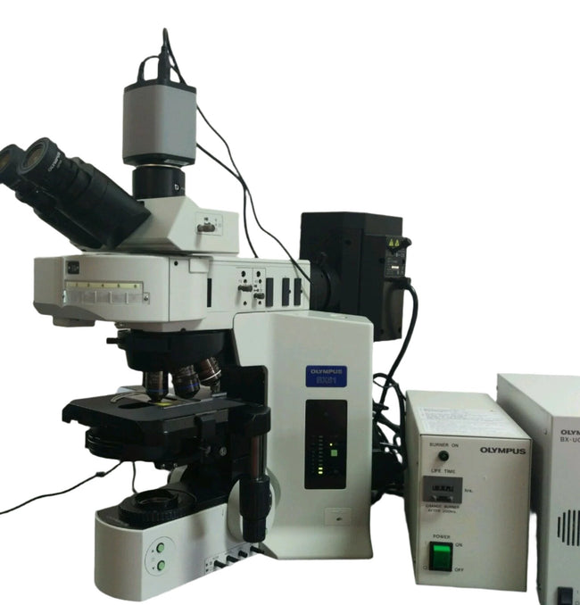 Olympus Microscope BX61 Phase Contrast - microscopemarketplace