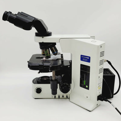 Olympus Microscope BX51 with Fluorites, Phase Contrast, & Tilting Binocular Head - microscopemarketplace