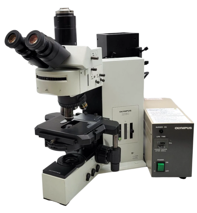 Olympus Microscope BX60 with Fluorescence, Phase Contrast, & Fluorite Objectives - microscopemarketplace