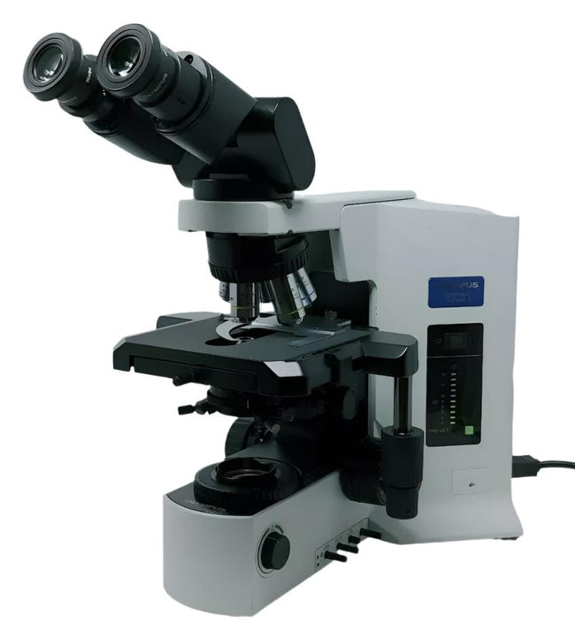 Olympus Microscope BX51 with Tilting Binocular Head - microscopemarketplace