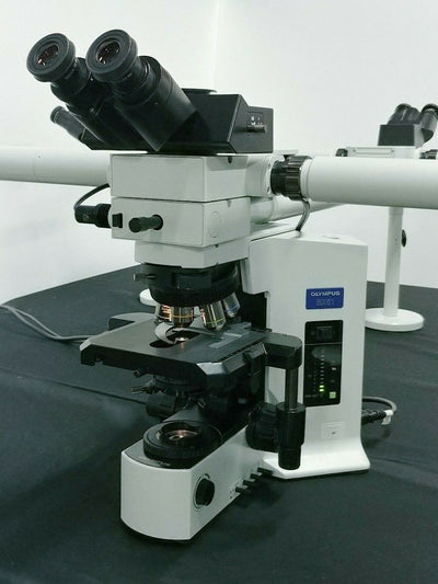 Olympus Microscope BX51 Multihead 10 Headed Teaching System with 2X Objective / Pathology - microscopemarketplace