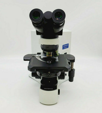 Olympus Microscope BX41 with Fluorites, Phase Contrast, & Tilting Binocular Head - microscopemarketplace