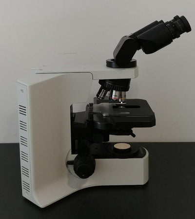 Olympus Microscope BX41 Clinical Pathology with 50x Oil and Binocular Head - microscopemarketplace