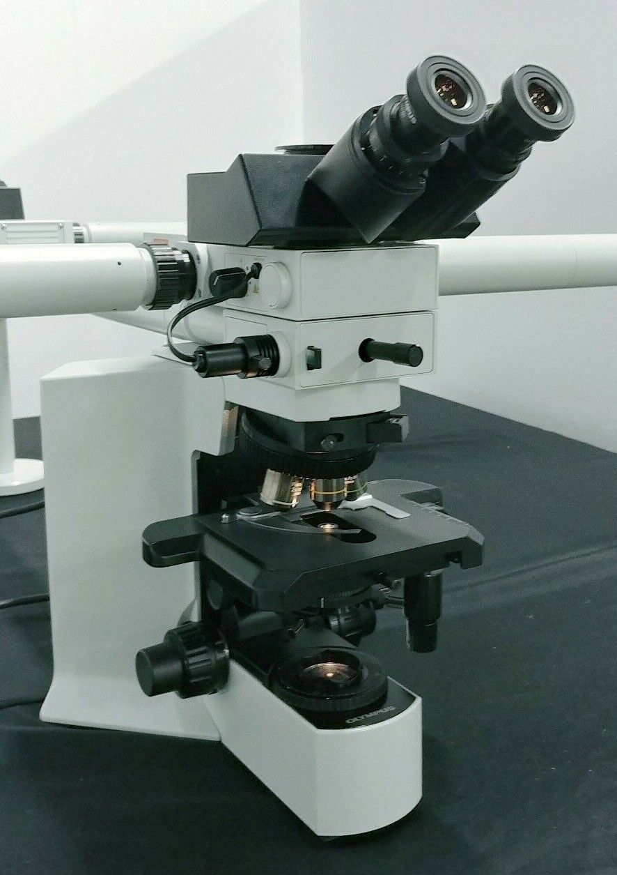 Certified Olympus Microscope BX51 Multihead 10 Head | Pathology