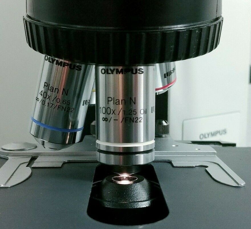 Olympus Microscope BX40 with Dual Port Side by Side Teaching Bridge - microscopemarketplace