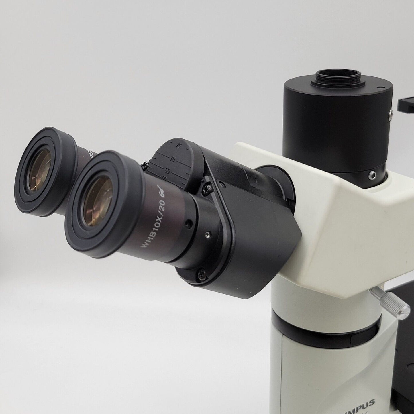 Olympus Microscope CKX41 with Phase Contrast & Trinocular Head | Tissue Culture - microscopemarketplace