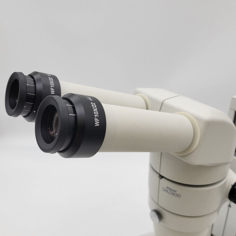 Nikon Stereo Microscope SMZ800 with Binocular Head - microscopemarketplace