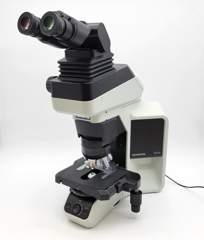Olympus Microscope BX46 LED with Tilting Lift Ergo Head and 100x Objective - microscopemarketplace