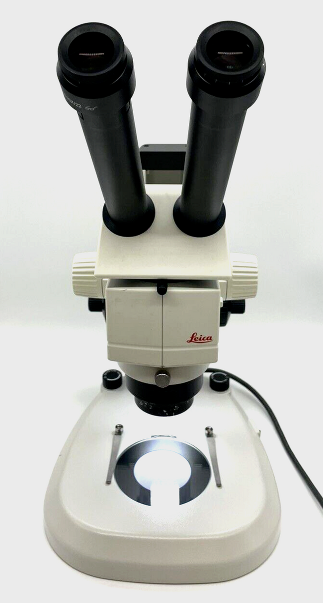 Leica Stereo Microscope M80 with Transmitted & Reflected Light Stand - microscopemarketplace