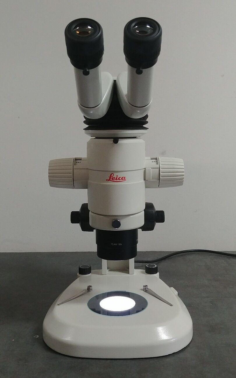 Leica Microscope MZ9.5 with Tilting Binocular Head and Dual Illuminated Stand - microscopemarketplace