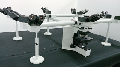 Olympus Microscope BX50 Multihead 10 Headed Teaching System with LED Replacement - microscopemarketplace