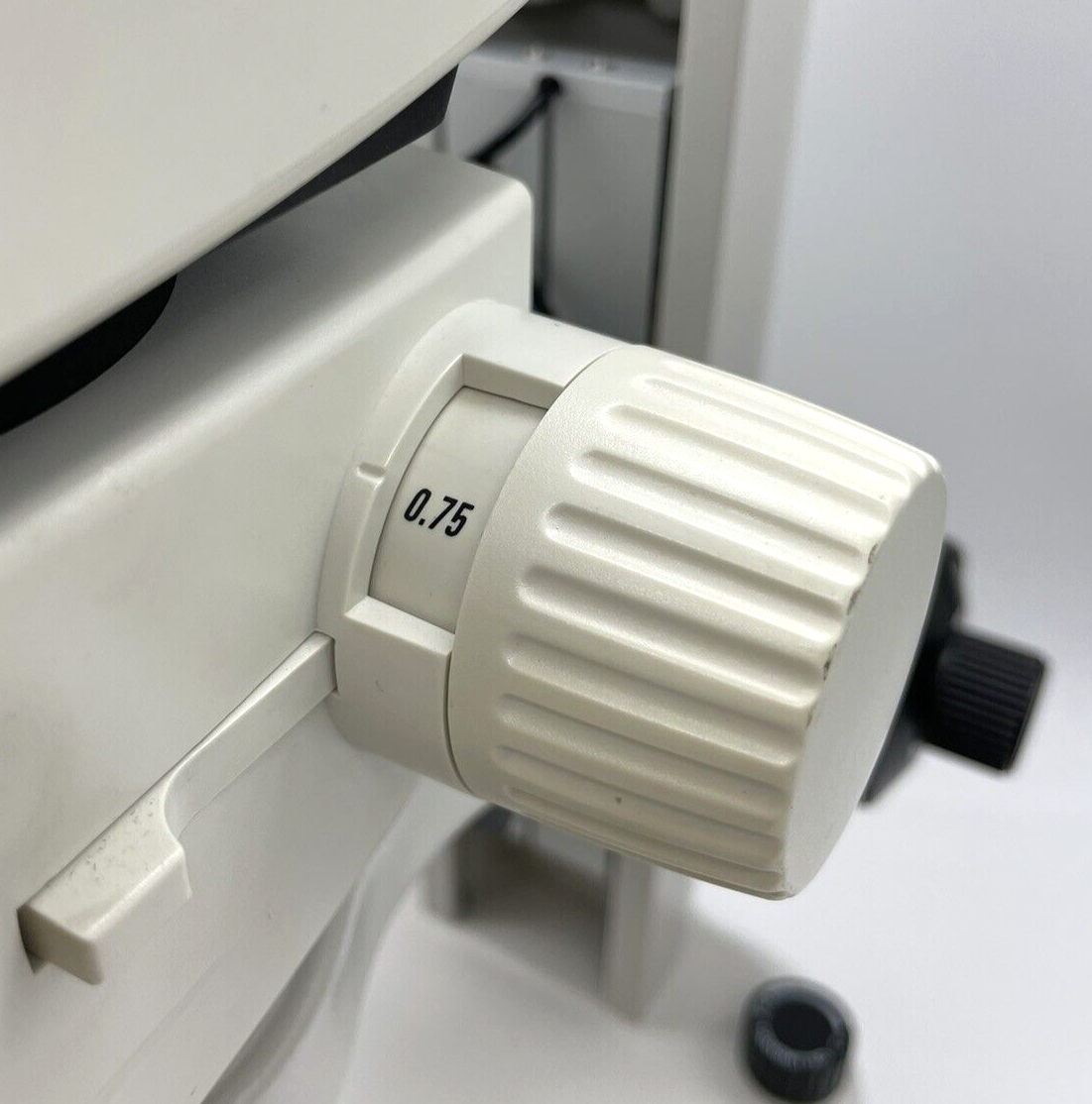 Leica Stereo Microscope M80 with Transmitted & Reflected Light Stand - microscopemarketplace