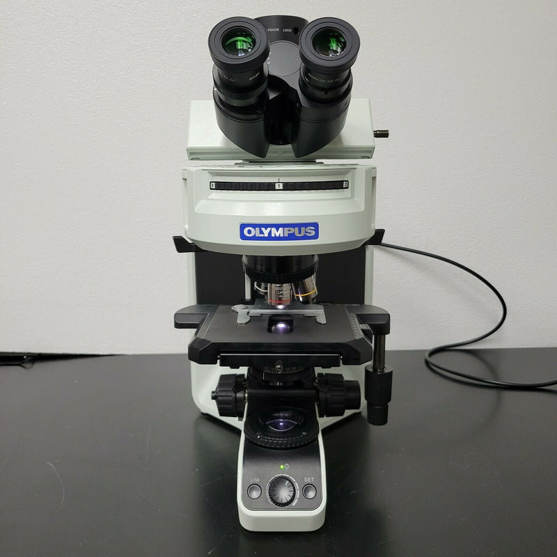 Lab Microscope Bx43f Olympus Microscope BX43 | Fluorescence | X-Cite Lite Illumination