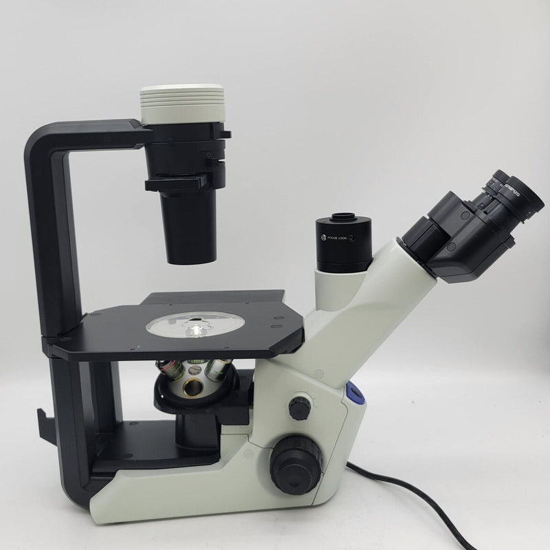 Olympus Microscope CKX53 Inverted with Phase Contrast and IPC Objectives - microscopemarketplace