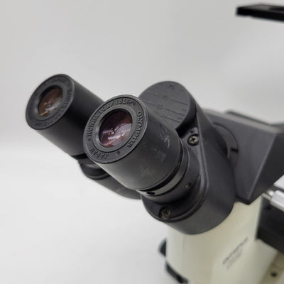 Olympus Microscope CK40 Inverted with Phase Contrast - microscopemarketplace