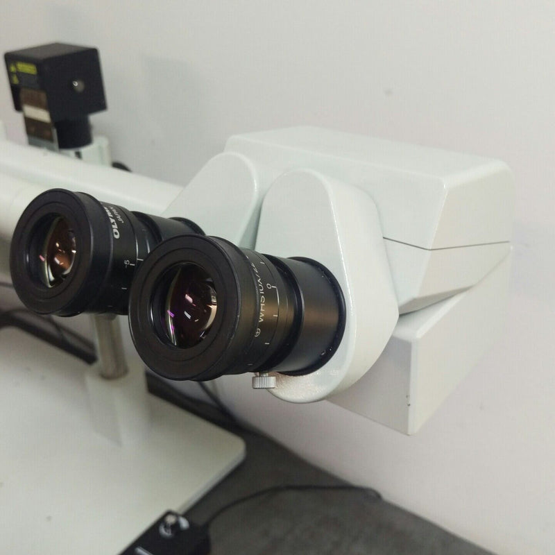 Olympus Microscope SZX9 Dual Head Stereozoom with Trinocular Head - microscopemarketplace