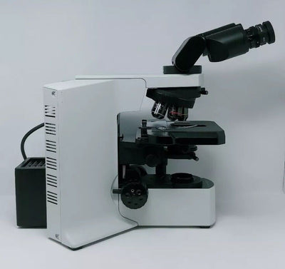 Olympus Microscope BX51 with Fluorites and Tilting Binocular Head - microscopemarketplace