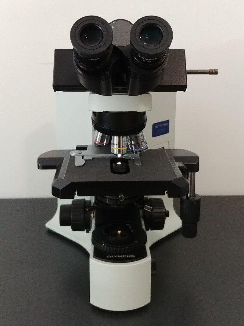 Olympus Microscope BX41 Clinical Pathology with 50x Oil and Trinocular Head - microscopemarketplace