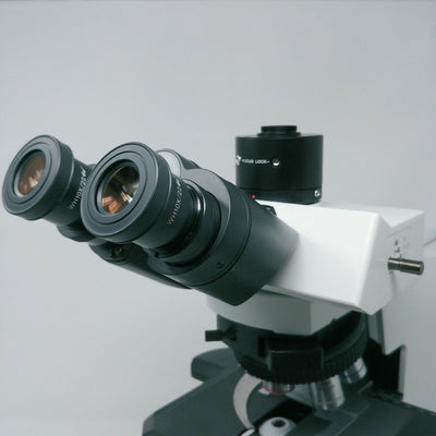 Olympus Microscope BX41 with 2x, 60x, and Trinocular Head - microscopemarketplace