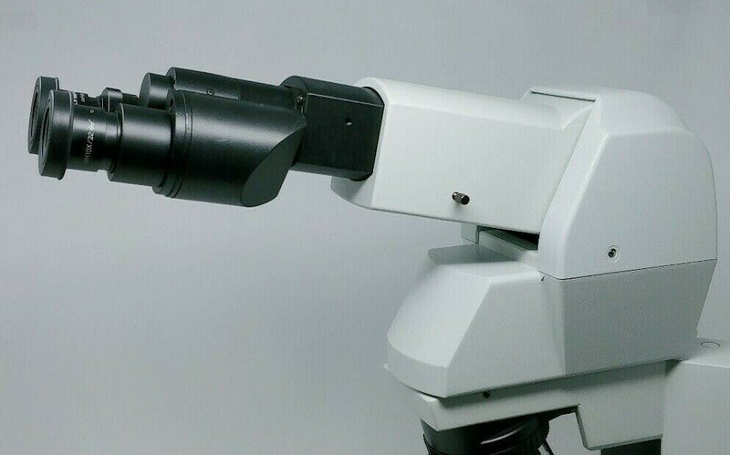 Olympus Microscope BX40 with Tilting Telescoping Head and 2x Objective - microscopemarketplace