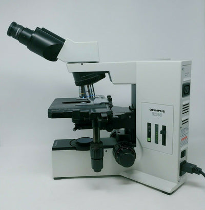 Olympus Microscope BX40 with Fixed Binocular Head - microscopemarketplace