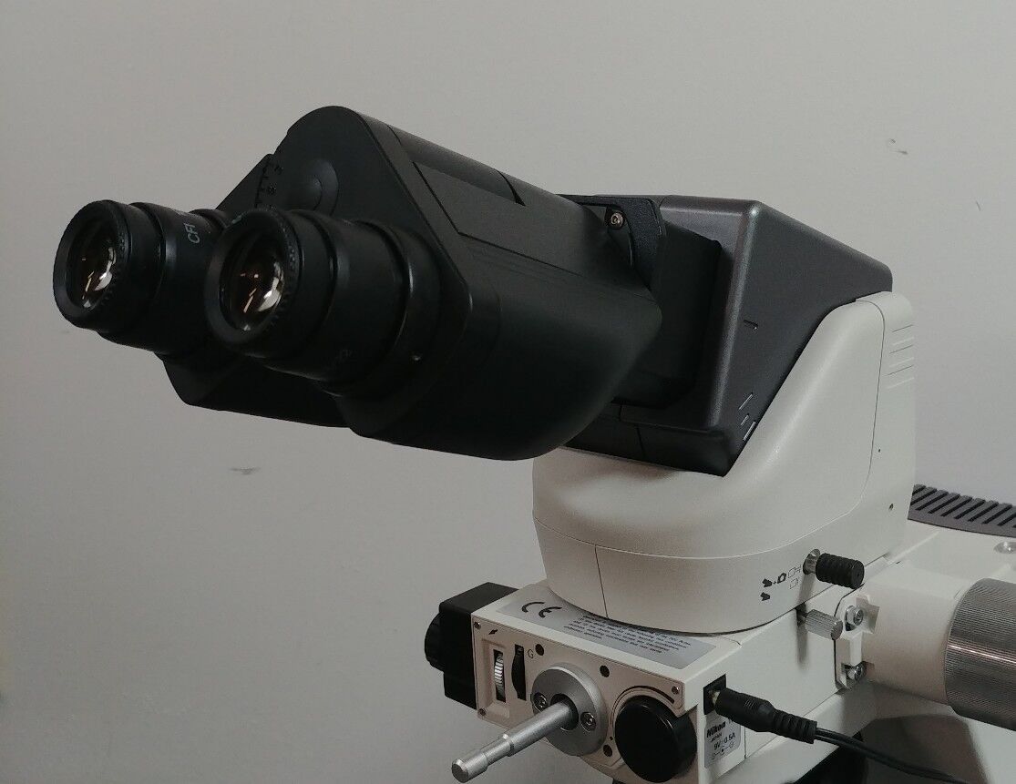 Nikon Microscope Eclipse 80i with Dual Head Bridge - microscopemarketplace