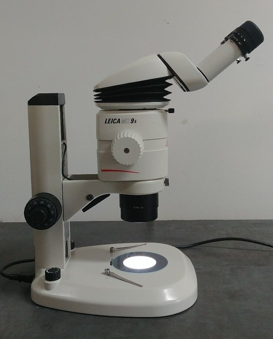 Leica Microscope MZ9.5 with Tilting Binocular Head and Dual Illuminated Stand - microscopemarketplace