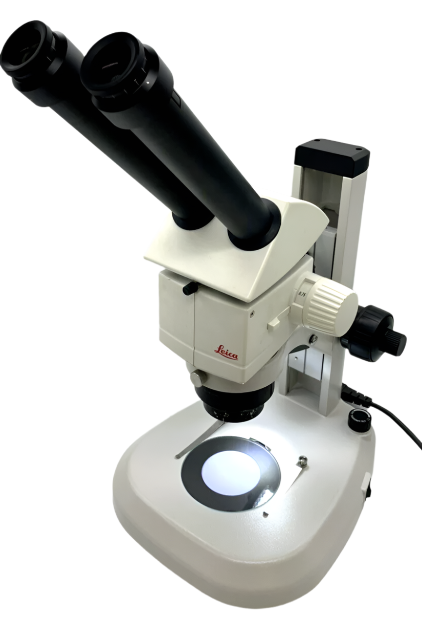 Leica Stereo Microscope M80 with Transmitted & Reflected Light Stand - microscopemarketplace