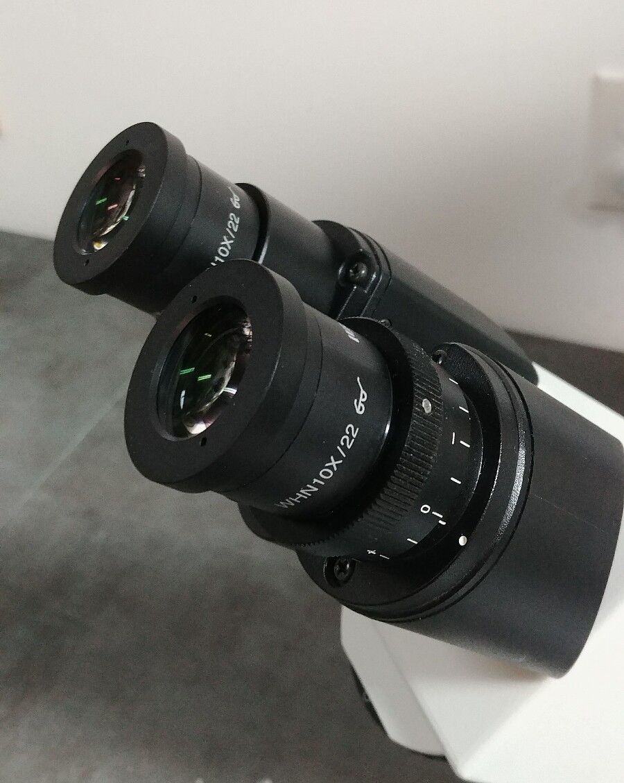 Olympus Microscope IX71 with Fluorescence and DIC - microscopemarketplace