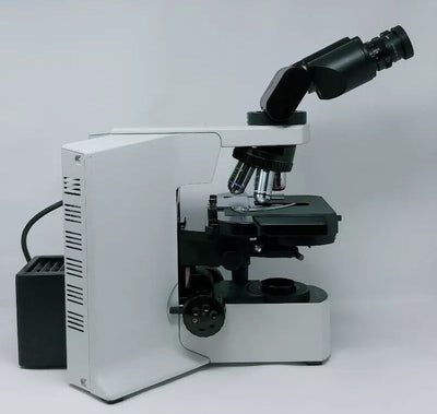 Olympus Microscope BX51 with Phase Contrast and Tilting Binocular Head - microscopemarketplace