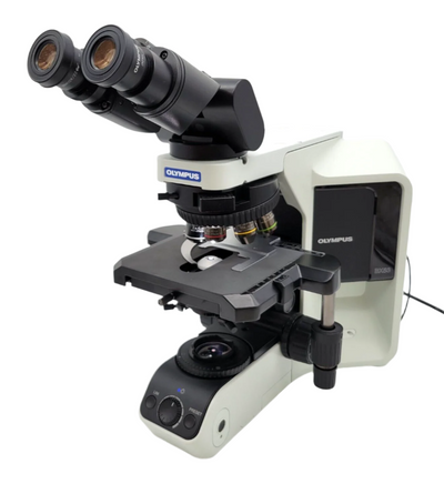 Olympus Microscope BX53 LED with Apo 2x, Fluorites, & Tilting Binocular Head - microscopemarketplace