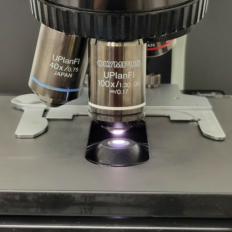 Olympus Microscope BX43 with Fluorites, Fluorescence, & X-Cite Lite Illumination - microscopemarketplace