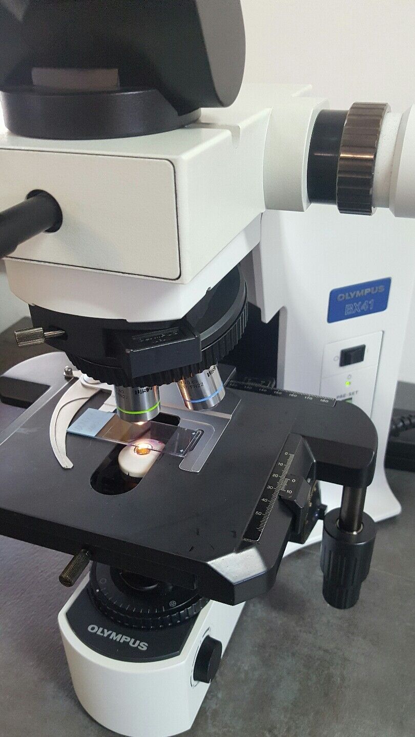 Olympus Microscope BX41 with 2X and Side by Side Bridge Mohs Microscope - microscopemarketplace