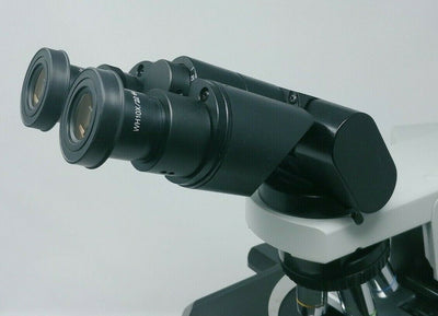 Olympus Microscope BX41 with Phase Contrast and Tilting Head - microscopemarketplace