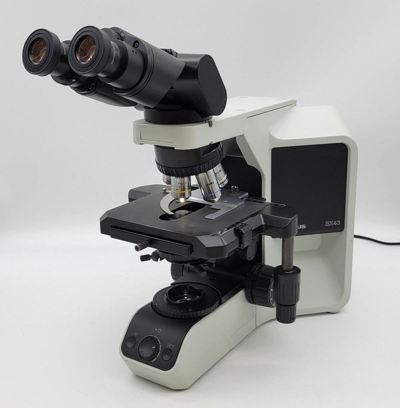 Olympus Microscope BX43 with Tilting Head and 100x Objective - microscopemarketplace