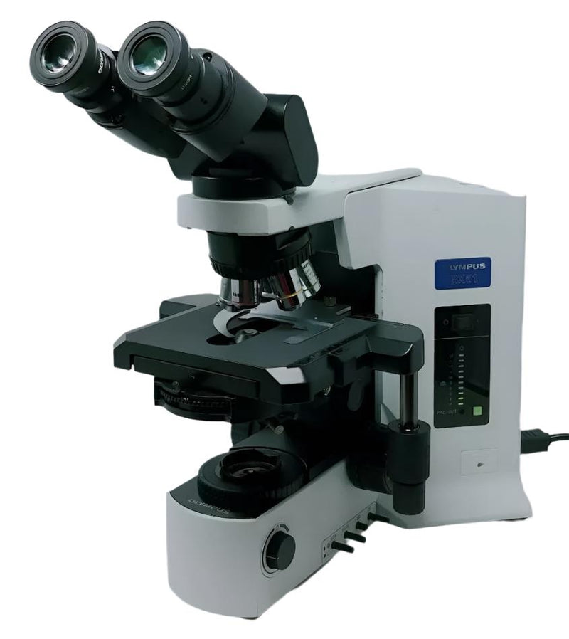 Olympus Microscope BX51 with Phase Contrast and Tilting Binocular Head - microscopemarketplace