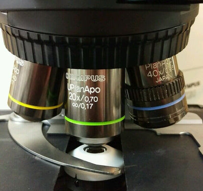 Olympus Microscope BX50 Teaching Multihead with Apos / Pathology - microscopemarketplace