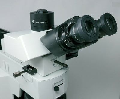 Olympus Microscope BX51 Pol Polarizing with Bertrand Lens and BF/DF - microscopemarketplace