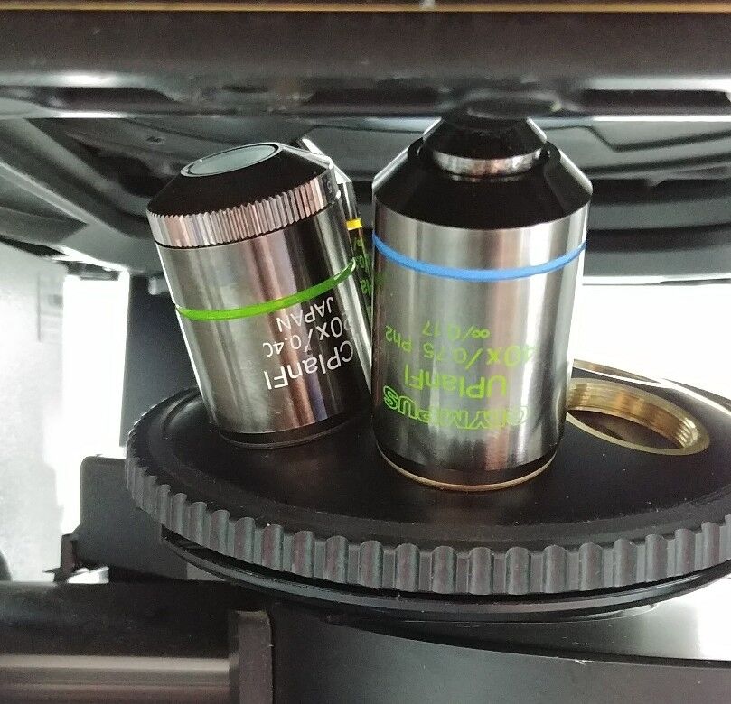 Olympus Microscope IX51 with Fluorescence and Phase Contrast