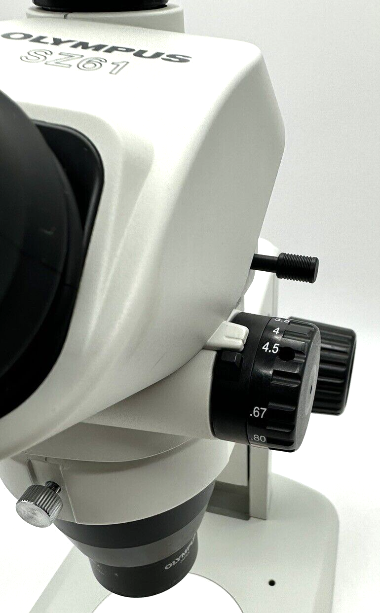 Olympus Stereo Microscope SZ61 with Trinocular Head and Camera Port - microscopemarketplace