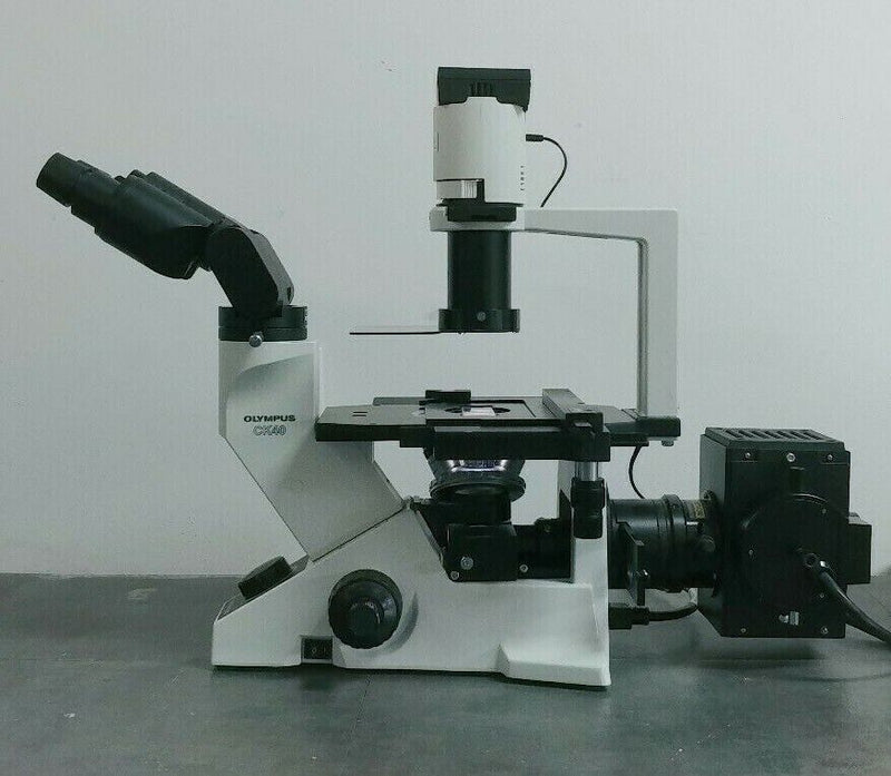 Olympus Microscope CK40 with Fluorescence, Phase Contrast, and Binocular Head - microscopemarketplace