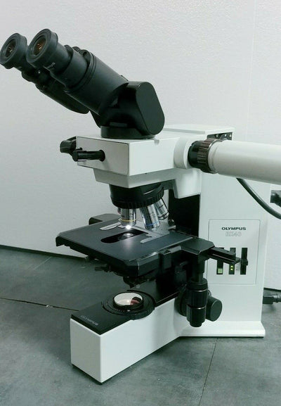 Olympus Microscope BX40 with Dual Port Side by Side Teaching Bridge - microscopemarketplace