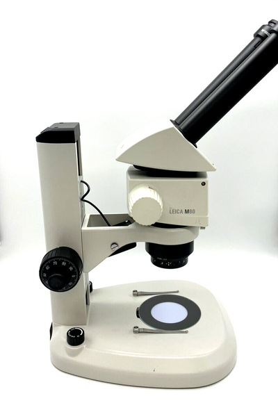 Leica Stereo Microscope M80 with Transmitted & Reflected Light Stand - microscopemarketplace